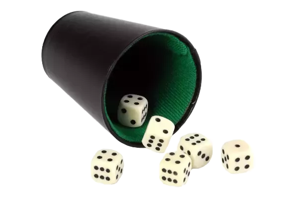 Yahtzee spel